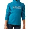 Ariat Youth 3D Logo 2.0 Hoodie
