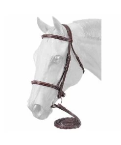 Premium Padded English Bridle