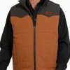 Cinch Men's Quilted Reversible Vest