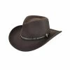 Bailey Wind River Recoil Western Hat